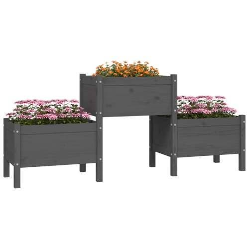 Sadilica siva 178,5 x 44 x 75 cm od masivne borovine - Siva 178.5 x 44 x 75 cm 1 Cijena