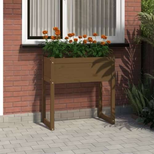 Sadilica smeđa boja meda 78 x 40 x 81 cm od masivne borovine - boja meda 1 Cijena