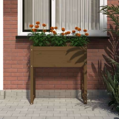 Sadilica smeđa boja meda 78 x 40 x 81 cm od masivne borovine - boja meda 1 Cijena