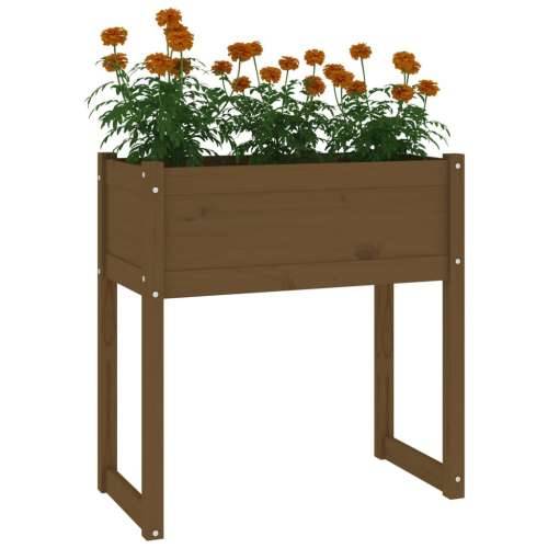 Sadilica smeđa boja meda 78 x 40 x 81 cm od masivne borovine - boja meda 1 Cijena