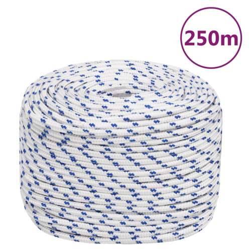Brodski konop bijeli 8 mm 250 m od polipropilena - Bijela i plava 1 250 m 8 mm Cijena