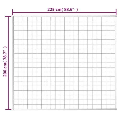 Teška deka siva 200x225 cm 13 kg od tkanine - Siva 200 x 225 cm 1 13 kg Cijena