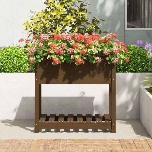 Sadilica s policom boja meda 82,5x54x81 cm od masivne borovine - boja meda 82.5 x 54 x 81 cm 1 Cijena