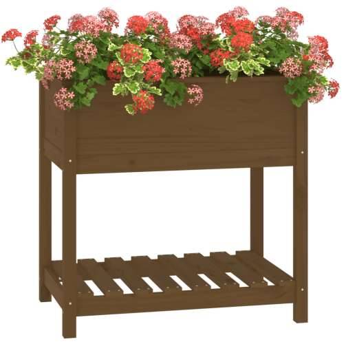 Sadilica s policom boja meda 82,5x54x81 cm od masivne borovine - boja meda 82.5 x 54 x 81 cm 1 Cijena
