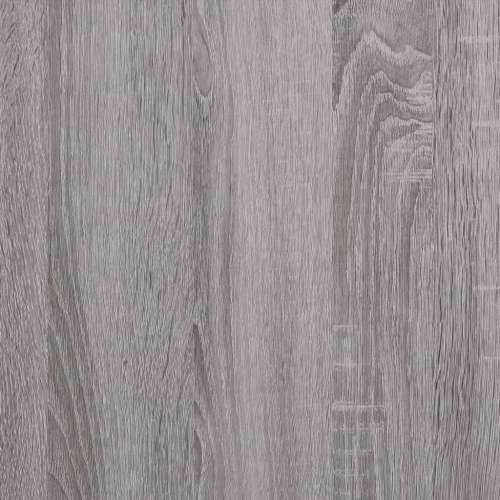 TV ormarić boja hrasta sonome 100x40x50 cm konstruirano drvo - Sivi hrast sonoma 100 x 40 x 50 cm 1 Cijena