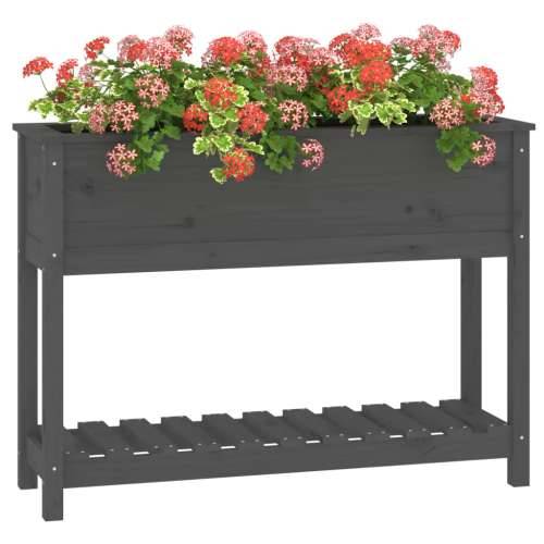 Sadilica s policom siva 111,5x34,5x81 cm od masivne borovine - Siva 111.5 x 34.5 x 81 cm 1 Cijena