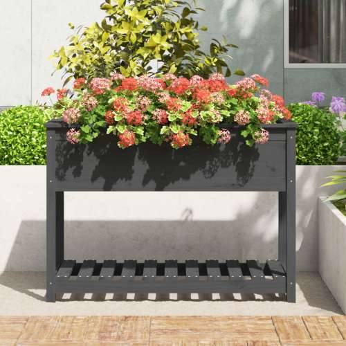 Sadilica s policom siva 111,5x54x81 cm od masivne borovine - Siva 111.5 x 54 x 81 cm 1 Cijena