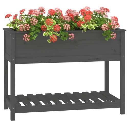Sadilica s policom siva 111,5x54x81 cm od masivne borovine - Siva 111.5 x 54 x 81 cm 1 Cijena