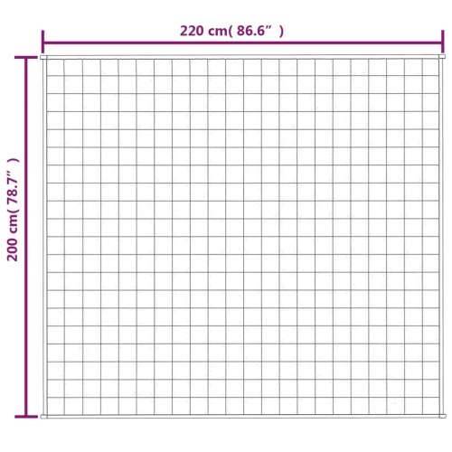 Teška deka siva 200x220 cm 13 kg od tkanine - Siva 200 x 220 cm 1 13 kg Cijena