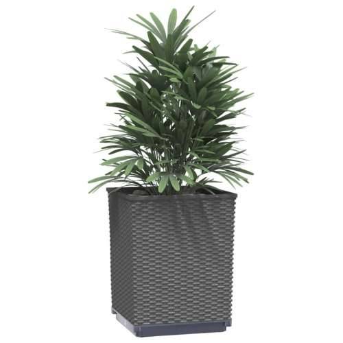 Sadilice 2 kom crne 30 x 30 x 37 cm od polipropilena - Crna 2 Cijena