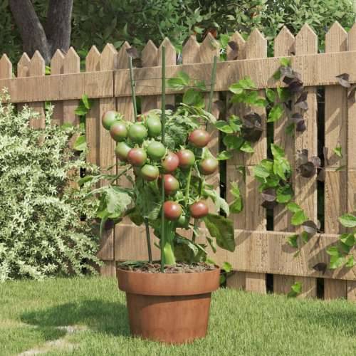 Kolci za vrtne biljke s 3 prstena 5 kom zeleni 45 cm čelični - 18 x 45 cm 5 Cijena