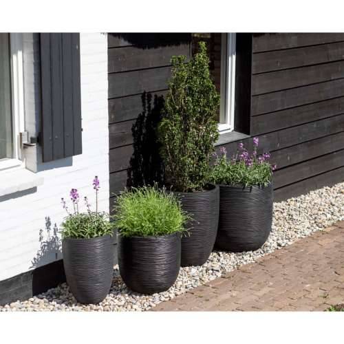 Capi jajolika posuda za sadnju Nature Rib 43 x 41 cm crna KBLR933  - Crna 43 x 41 cm 1 Cijena