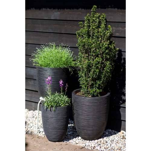 Capi jajolika posuda za sadnju Nature Rib 43 x 41 cm crna KBLR933  - Crna 43 x 41 cm 1 Cijena
