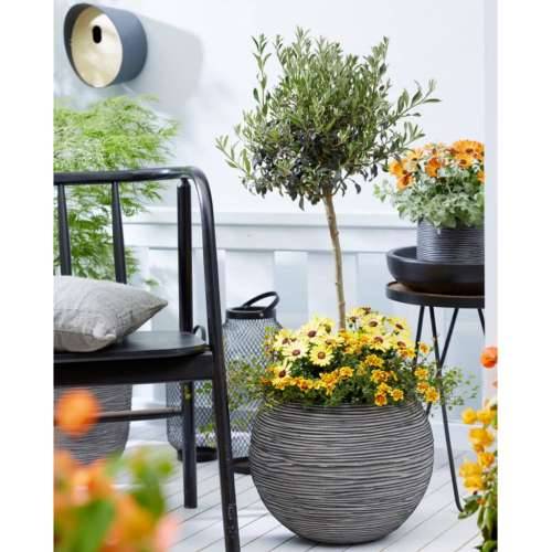Capi vaza Nature Rib okrugla 40 x 32 cm antracit KOFZ270  - Antracit 40 x 32 cm 1 Plastika Cijena