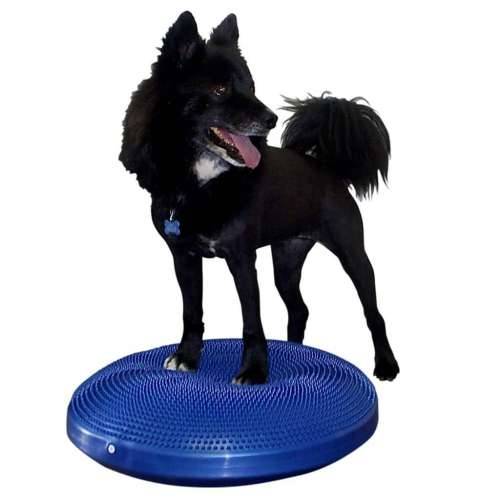 FitPAWS disk za ravnotežu kućnih ljubimaca 56 cm plavi - 56 cm Cijena