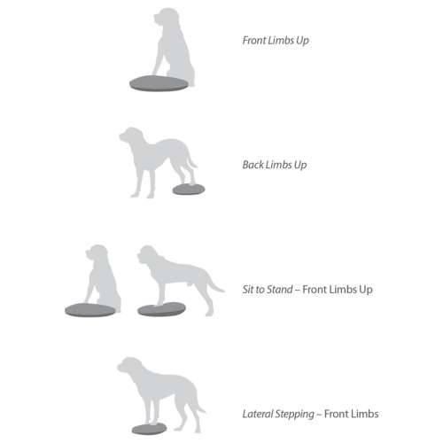 FitPAWS disk za ravnotežu kućnih ljubimaca 36 cm plavi - 36 cm Cijena