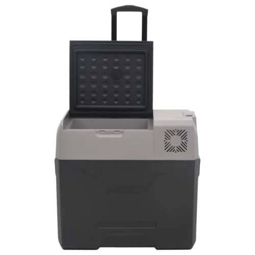 Prijenosni hladnjak s kotačima i adapterom crno-sivi 50 L PP Cijena