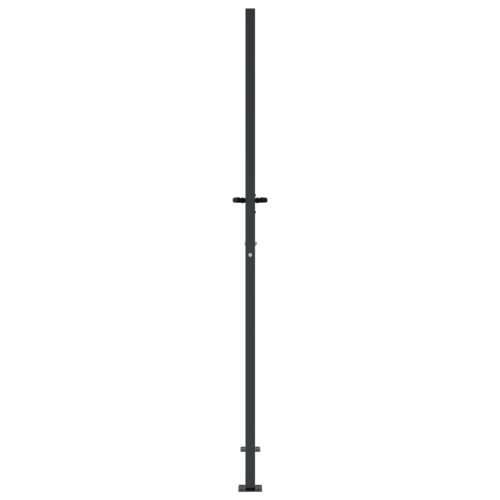 Vrtna vrata antracit 105 x 205 cm čelična s uzorkom bambusa - 105 x 205 cm Cijena
