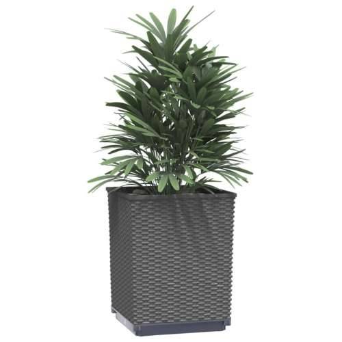 Sadilice 4 kom crne 30 x 30 x 37 cm od polipropilena - Crna 4 Cijena