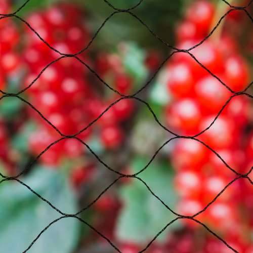 Nature mreža za zaštitu od ptica Primo 10 x 4 m crna 6030406  - 10 x 4 m Cijena