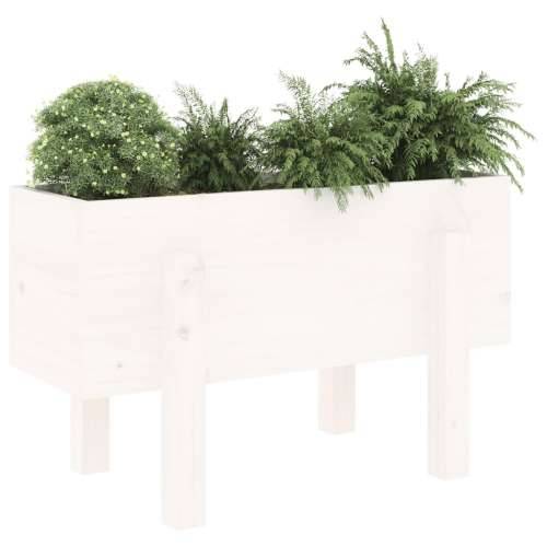 Vrtna sadilica bijela 62 x 30 x 38 cm od masivne borovine - Bijela boja bora 62 x 30 x 38 cm 1 Cijena