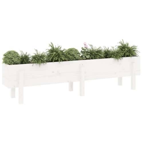 Povišena gredica - Vrtna gredica bijela 160 x 30 x 38 cm masivna borovina - Bijela boja bora 160 x 30 x 38 cm 1 Cijena