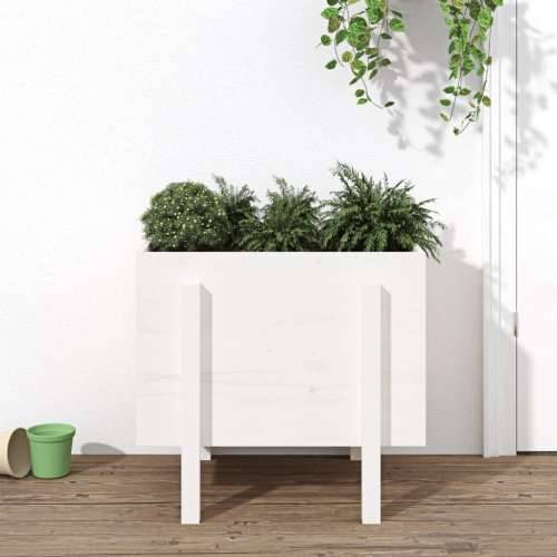 Vrtna sadilica bijela 62 x 50 x 57 cm od masivne borovine - Bijela boja bora 62 x 50 x 57 cm 1 Cijena