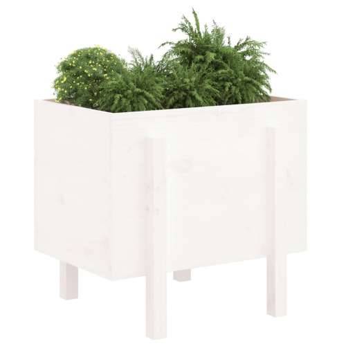 Vrtna sadilica bijela 62 x 50 x 57 cm od masivne borovine - Bijela boja bora 62 x 50 x 57 cm 1 Cijena