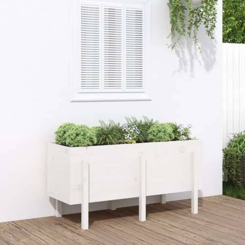Povišena gredica - Vrtna gredica bijela 121 x 50 x 57 cm masivna borovina - Bijela boja bora 121 x 50 x 57 cm 1 Cijena