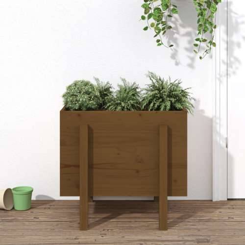 Vrtna sadilica boja meda 62 x 50 x 57 cm od masivne borovine - Smeđa boja bora 62 x 50 x 57 cm 1 Cijena