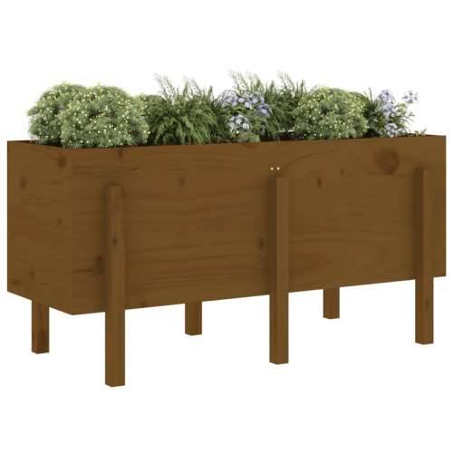 Povišena gredica - Vrtna gredica boja meda 121x50x57 cm masivna borovina - Smeđa boja bora 121 x 50 x 57 cm 1 Cijena