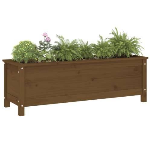 Povišena gredica - Vrtna gredica boja meda 119,5x40x39cm masivna borovina - Smeđa boja bora 119.5 x 40 x 39 cm 1 Cijena