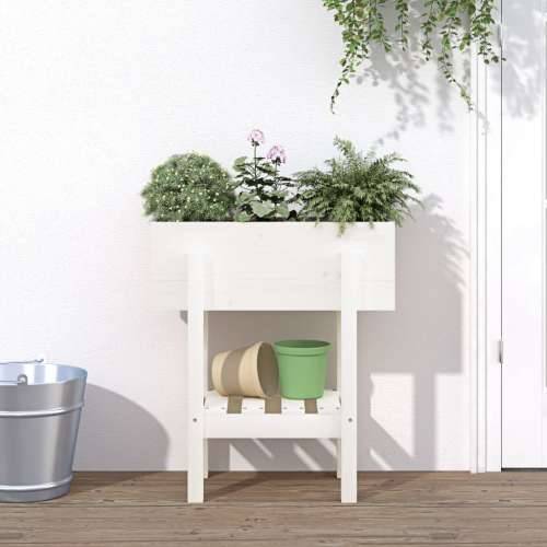 Vrtna sadilica bijela 62 x 30 x 69 cm od masivne borovine  - Bijela boja bora 62 x 30 x 69 cm 1 Cijena
