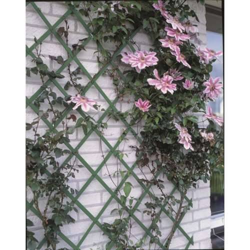 Nature Vrtna Rešetka 50x150 cm PVC Zelena 6040702 Zelena 50 x 150 cm 1 Cijena