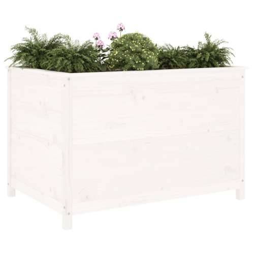 Povišena gredica - Vrtna gredica bijela 119,5x82,5x78 cm masivna borovina - Bijela boja bora 119.5 x 82.5 x 78 cm 1 Cijena