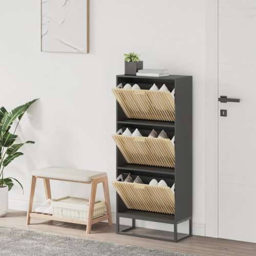Ormarić za cipele crni 52 x 25 x 120 cm od konstruiranog drva - Crna 1 Cijena