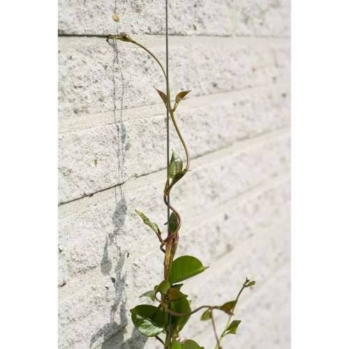 419738 Nature Wire Trellis Set for Climbing Plants 6040760 Cijena