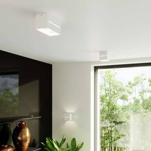 Stropna lampa LOBO bijela Cijena