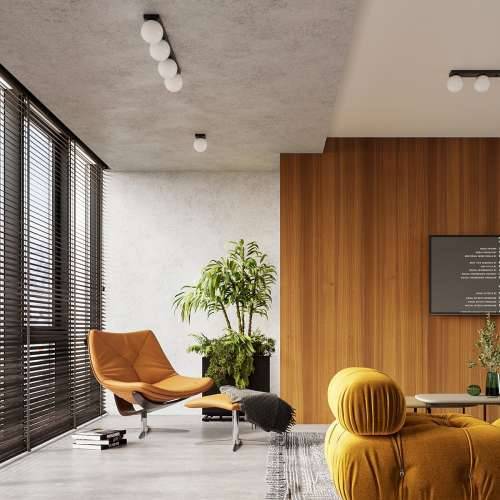 Stropna lampa YOLI 6 crna Cijena