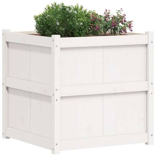 Vrtna sadilica bijela 70 x 70 x 70 cm od masivne borovine - Bijela 1 Cijena