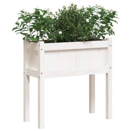 Vrtne sadilice s nogama bijela 70x31x70 cm od masivne borovine - Bijela boja bora 1 Cijena