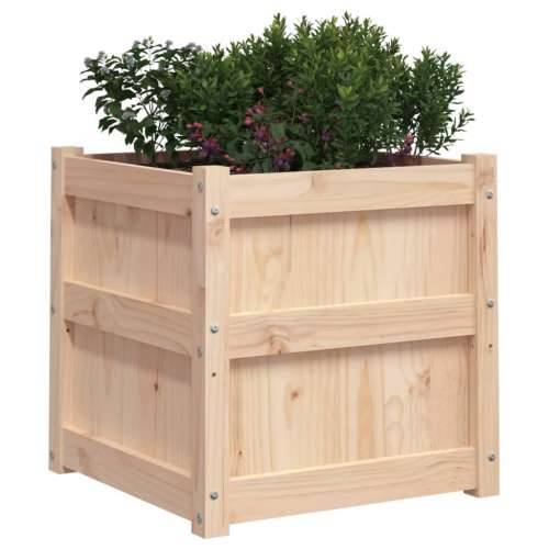 Vrtna sadilica 50 x 50 x 50 cm od masivne borovine - Prirodna boja bora 1 Cijena