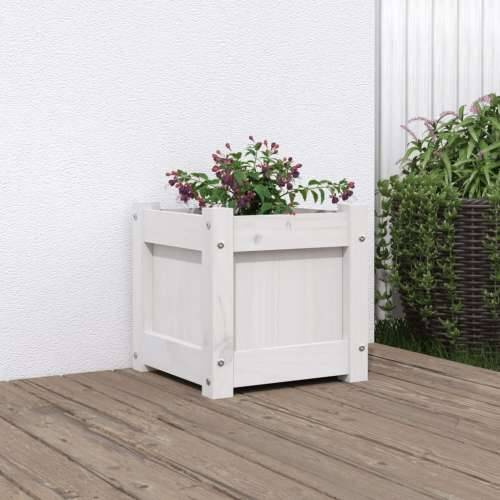 Vrtna sadilica bijela 31 x 31 x 31 cm od masivne borovine Bijela boja bora 1 Cijena