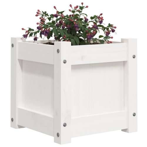 Vrtna sadilica bijela 31 x 31 x 31 cm od masivne borovine Bijela boja bora 1 Cijena