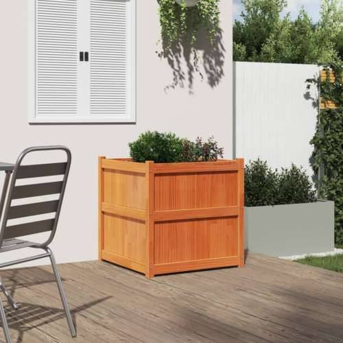 Vrtna sadilica voštano smeđe boje 70 x 70 x 70 cm od borovine - Smeđa 1 Cijena