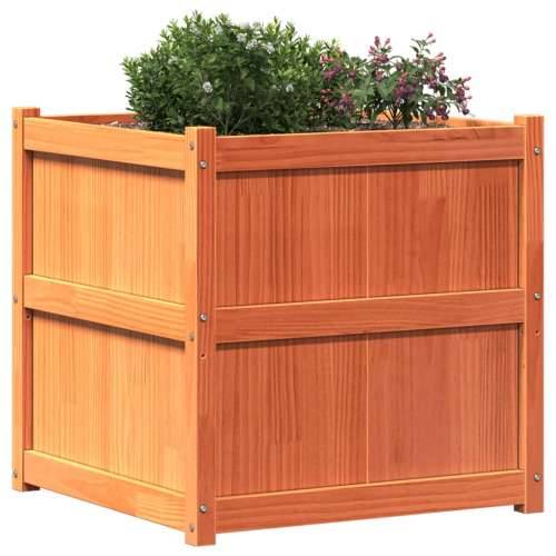 Vrtna sadilica voštano smeđe boje 70 x 70 x 70 cm od borovine - Smeđa 1 Cijena