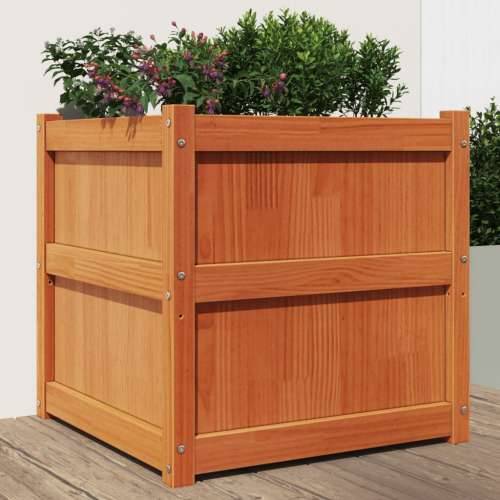 Vrtna sadilica voštano smeđe boje 60 x 60 x 60 cm od borovine - Smeđi bor 1 Cijena