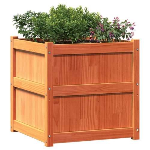 Vrtna sadilica voštano smeđe boje 60 x 60 x 60 cm od borovine - Smeđi bor 1 Cijena