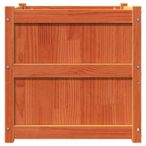 Vrtna sadilica voštano smeđe boje 60 x 60 x 60 cm od borovine - Smeđi bor 1 Cijena