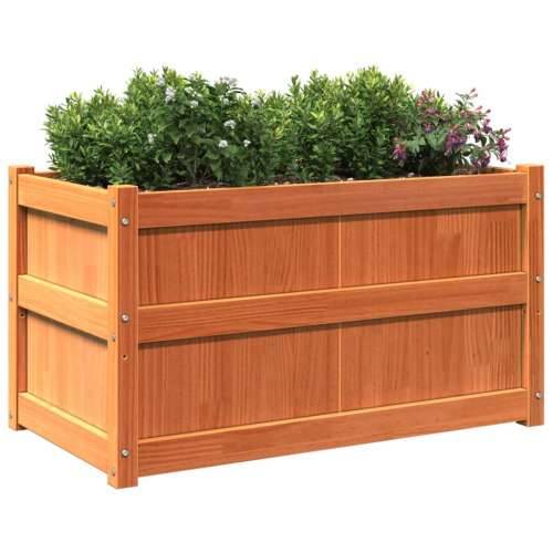 Vrtna sadilica voštano smeđe boje 90 x 50 x 50 cm od borovine - Smeđa 1 Cijena